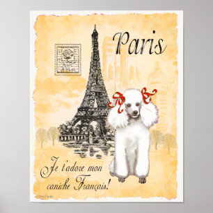 White Poodle Paris Eiffel Tower Vintag Print Poster