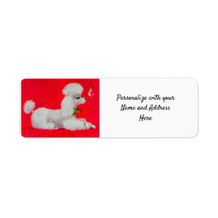 White Poodle über Weihnachten auf dem roten Teppic