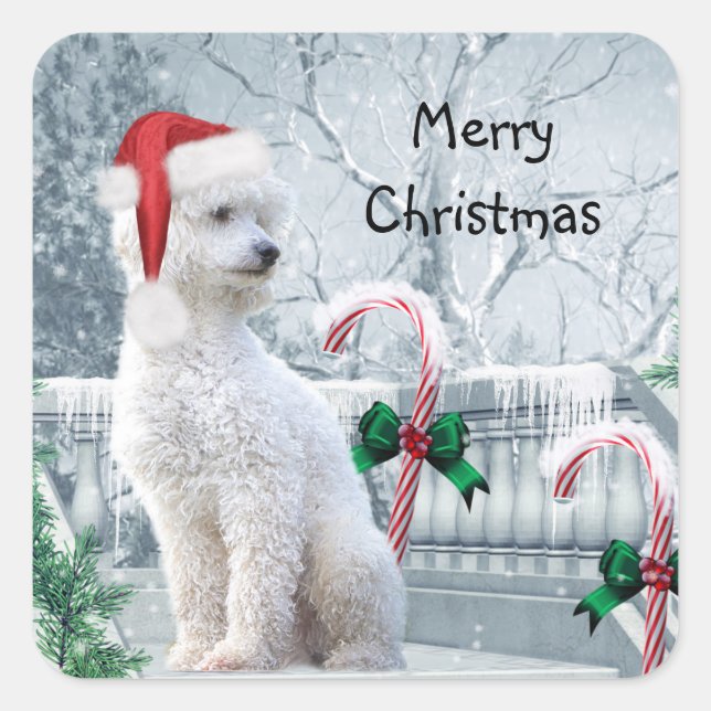 White Poodle Weihnachten Quadratischer Aufkleber (Vorderseite)