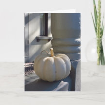 White Pumpkin auf dem Rail - Martha's Vineyard