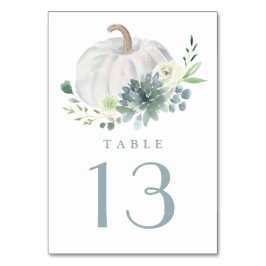 White Pumpkin Elegant Succulent Fall Chic Wedding Tischnummer