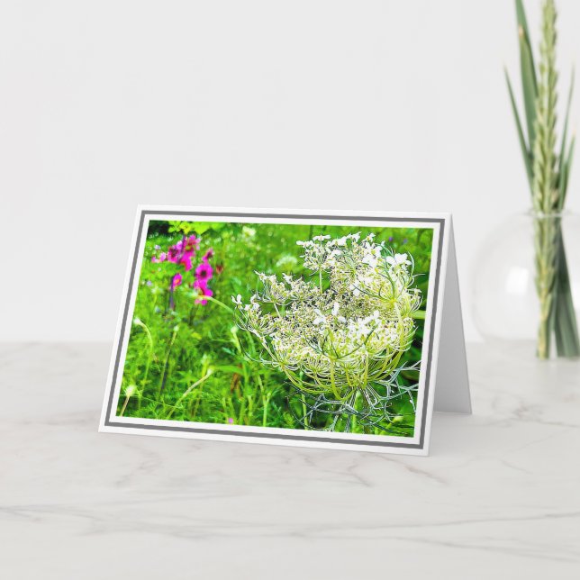 White Queen Anne's Lace Blume in Green Field Karte (Vorderseite)