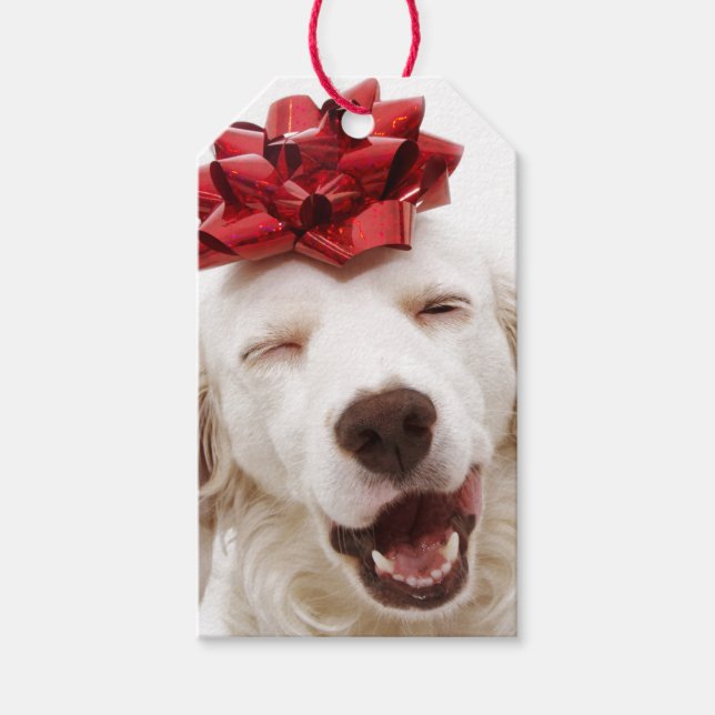 WHITE RETRIEVING MIT ROTER BOW-GESCHENKE-TAG GESCHENKANHÄNGER (Vorderseite)