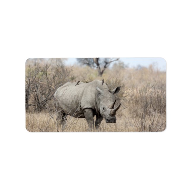 White Rhino Adressaufkleber (Vorne)