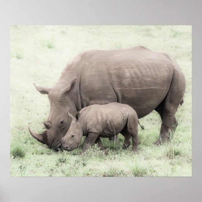 White Rhino & Baby Poster (Vorne)