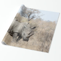 White Rhino