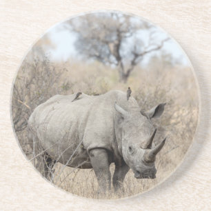 White Rhino Getränkeuntersetzer