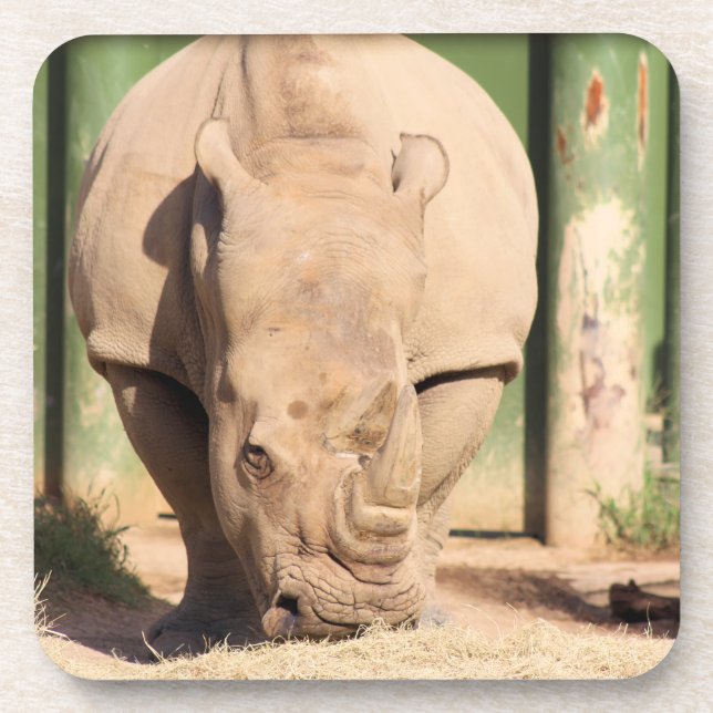 White Rhino Getränkeuntersetzer (Vorderseite)