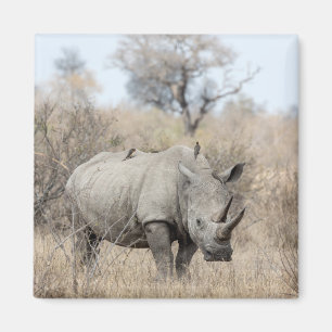 White Rhino Magnet