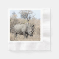 White Rhino