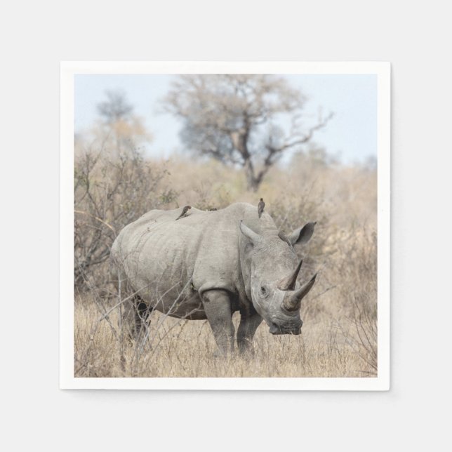 White Rhino Serviette (Vorderseite)