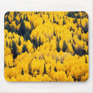 White River National Forest Aspen, Colorada Mousepad
