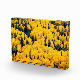 White River National Forest Aspen, Colorado Fotoblock