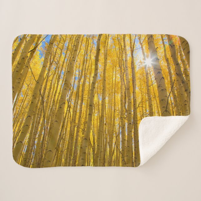 White River National Forest Sherpadecke (Vorderseite (Horizontal))