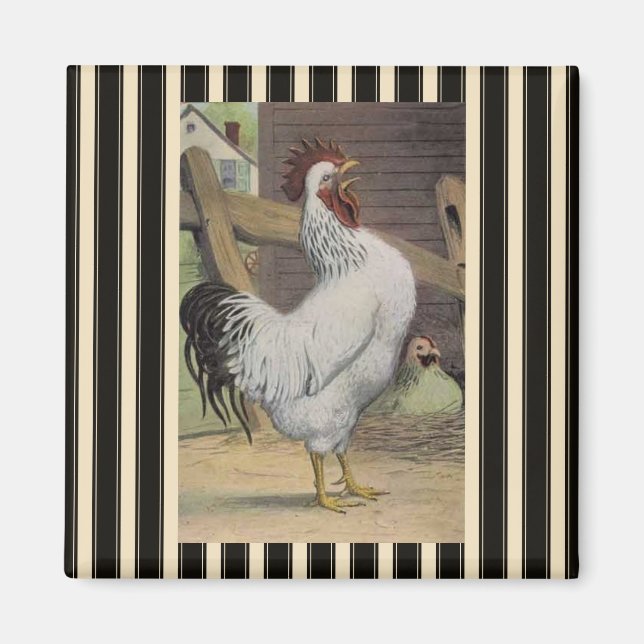 White Rooster Hen Kühlschrankmagnet (Vorne)