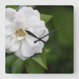 White Rose Clock Quadratische Wanduhr