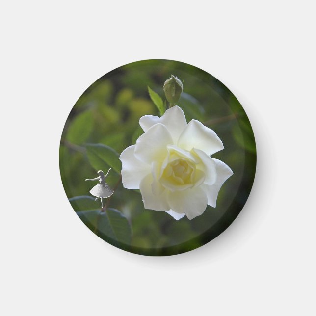 White Rose Fairy Magnet (Vorne)