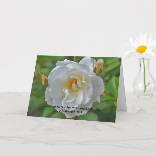 White Rose Faith Bible Verse Danke Karte (Kleine Pflanze)
