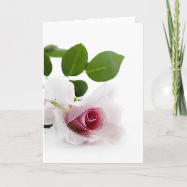 White Rose Feiertagskarte (Vorderseite)