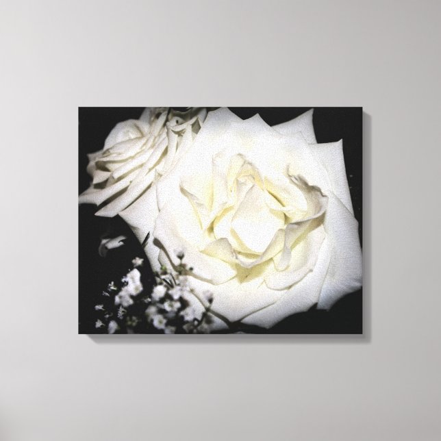 White Rose Leinwand (Vorderseite)