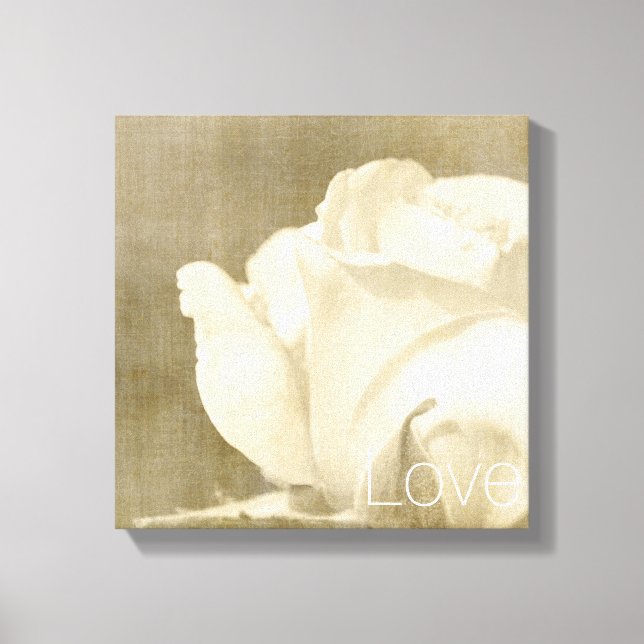 White Rose Liebe Leinwanddruck (Vorderseite)
