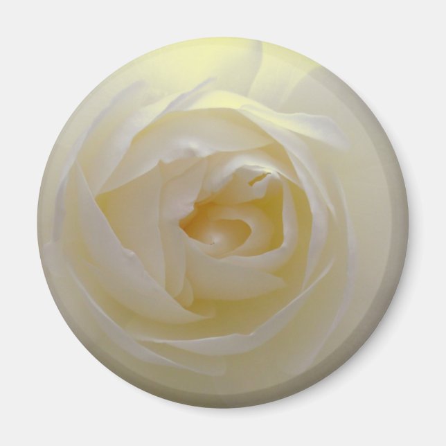 White Rose Magnet Blume gibt Keepake Dekoration (Vorne)