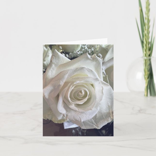 White Rose Note Card (Vorderseite)