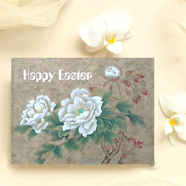 White Rose Postkarte (Von Creator hochgeladen)