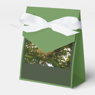 White Rose Ribbon-Geschenk Geschenkschachtel