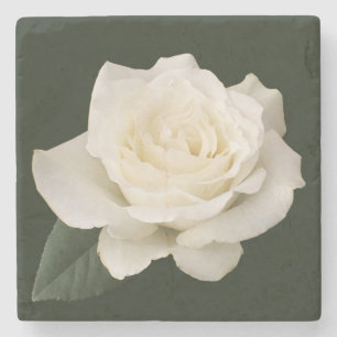 White Rose Steinuntersetzer