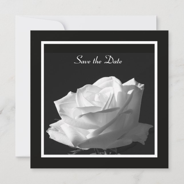 White Rose Wedding Save the Date Invite (Vorderseite)