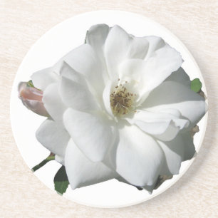 White Roses Party Dusche Hochzeitsblüten Schicksal Getränkeuntersetzer