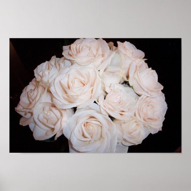 White Roses Poster (Vorne)