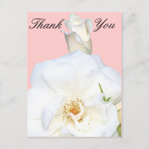 White Roses_ Postkarte
