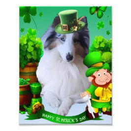 White Rough Collie celebrating St. Patrick's Day Fotodruck