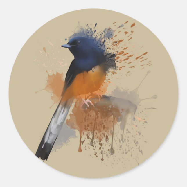 White Rumped Shama Bird Runder Aufkleber (Vorderseite)