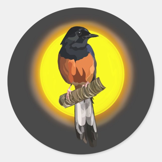 White-Rumped Shama Bird Runder Aufkleber (Vorderseite)