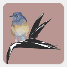 White Rumped Shama-Vogel Quadratischer Aufkleber