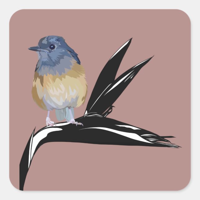 White Rumped Shama-Vogel Quadratischer Aufkleber (Vorderseite)