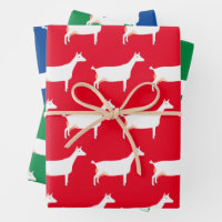 White Saanen Dairy Goat