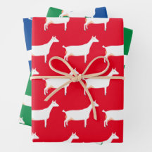 White Saanen Dairy Goat