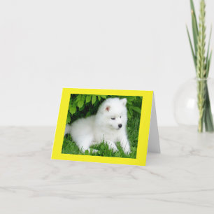 White Samoyed Puppy Blank Note Card Karte