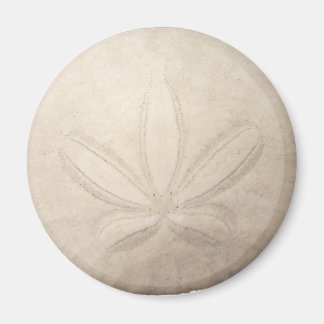 White Sand Dollar Magnet