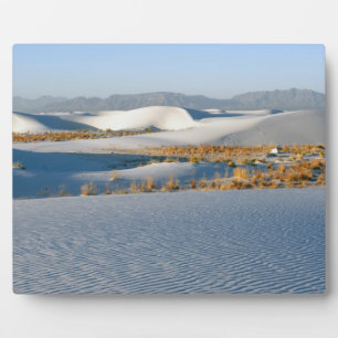 White Sands National Monument, Transversaldünen Fotoplatte