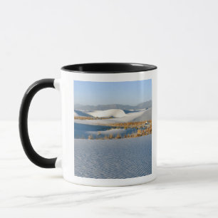 White Sands National Monument, Transversaldünen Tasse
