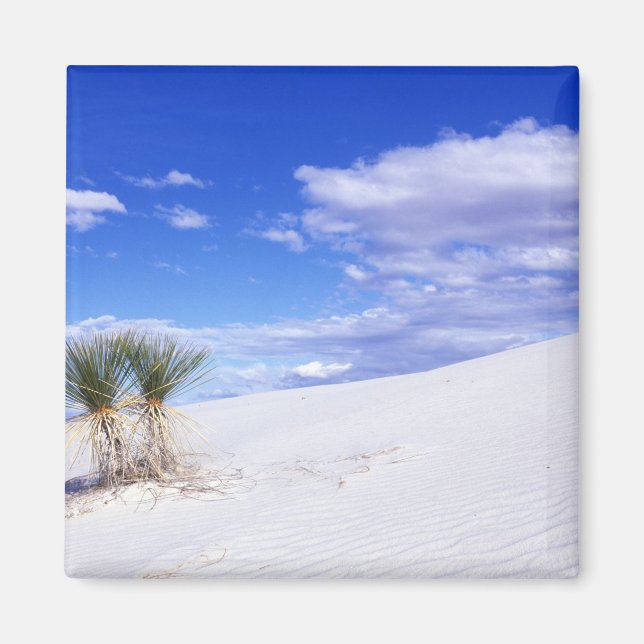 White Sands NM, New Mexico, USA Magnet (Vorne)