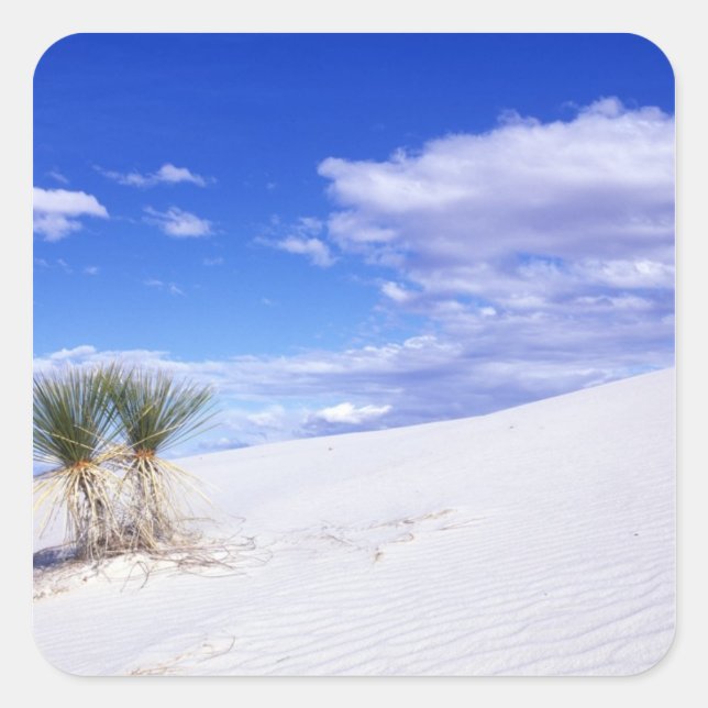 White Sands NM, New Mexico, USA Quadratischer Aufkleber (Vorderseite)