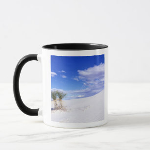 White Sands NM, New Mexico, USA Tasse