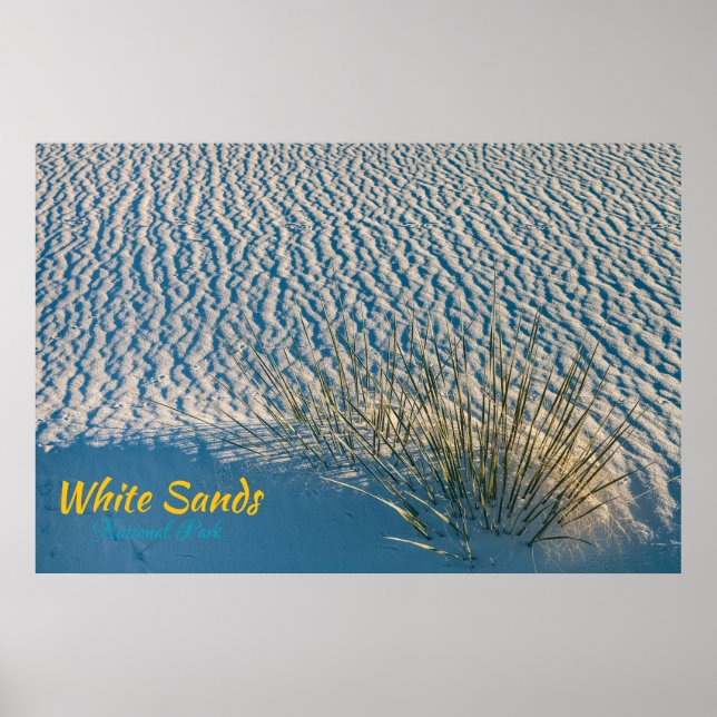White Sands Yucca Poster (Vorne)