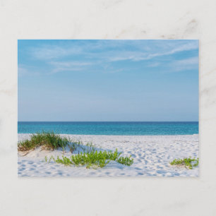 White Sandy Beach Florida Coastline Postcard Postkarte